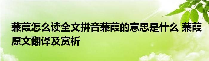 蒹葭怎么读全文拼音蒹葭的意思是什么蒹葭原文翻译及赏析