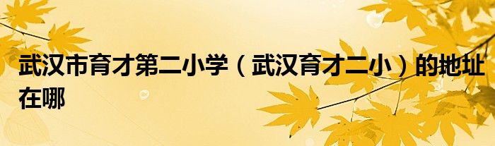 武汉市育才第二小学武汉育才二小的地址在哪