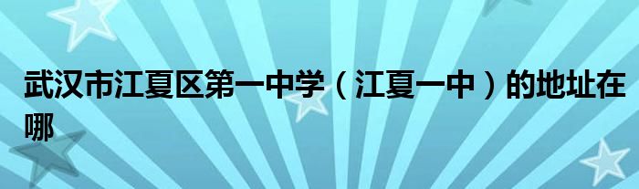 武汉市江夏区第一中学江夏一中的地址在哪