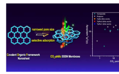 单相共价有机骨架膜使CO2选择性分离成为可能