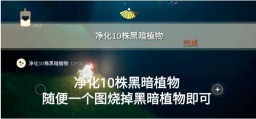 光遇8.17任务：密林遗迹冥想/绿色光芒/二人合力开一道门汇总