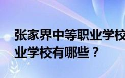 张家界中等职业学校名单 排名最好的中等职业学校有哪些？