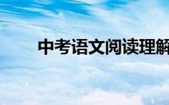 中考语文阅读理解解题技巧有哪些？