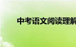 中考语文阅读理解答题技巧有哪些？