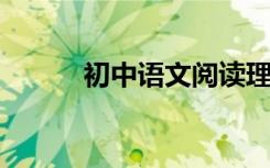 初中语文阅读理解答案通用公式