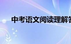 中考语文阅读理解答题技巧及通用公式