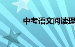 中考语文阅读理解高分答题技巧