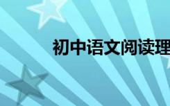 初中语文阅读理解答题技巧综述