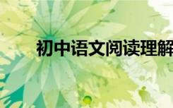 初中语文阅读理解的答题技巧和公式