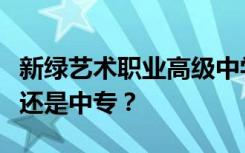 新绿艺术职业高级中学是公办还是民办的大专还是中专？