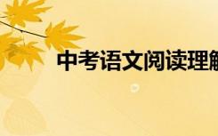 中考语文阅读理解解题技巧和方法