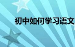 初中如何学习语文 如何有效提高成绩