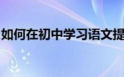 如何在初中学习语文提高成绩是最有效的方法