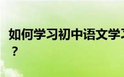 如何学习初中语文学习者推荐的超强学习方法？