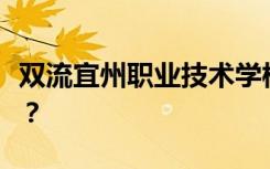 双流宜州职业技术学校的王牌专业是什么专业？