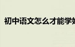 初中语文怎么才能学好这些习惯一定要养成