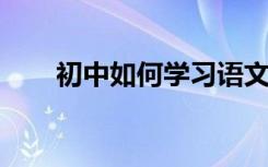 初中如何学习语文是提高成绩的关键