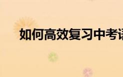 如何高效复习中考语文实用备考小技巧