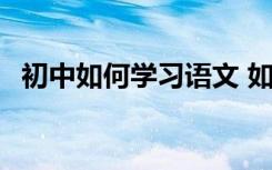 初中如何学习语文 如何高效学习 提高成绩