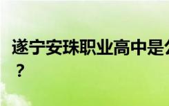 遂宁安珠职业高中是公立还是私立学院或中专？