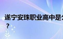 遂宁安珠职业高中是公办还是民办还是全日制？