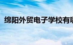 绵阳外贸电子学校有哪些专业 哪个专业好？