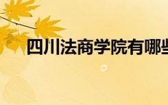 四川法商学院有哪些专业 哪个专业好？