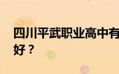 四川平武职业高中有哪些专业 哪个专业比较好？