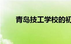 青岛技工学校的初中生可以上什么？