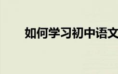 如何学习初中语文学习者的最佳体验