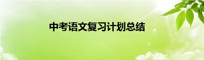 中考语文复习计划总结