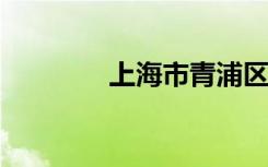 上海市青浦区重点高中名单