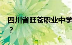 四川省旺苍职业中学有哪些专业 哪个专业好？