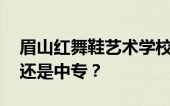 眉山红舞鞋艺术学校是公办还是民办 是专科还是中专？