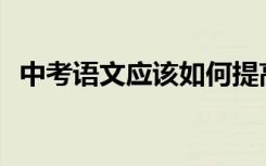 中考语文应该如何提高？有哪些学习方法？