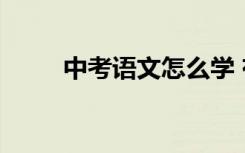 中考语文怎么学 有哪些学习方法？