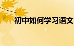 初中如何学习语文 如何提高语文成绩