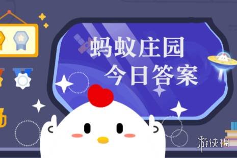 蚂蚁庄园12月10日答案汇总 羊肉汤骨头汤里白色的、街边卖的烤红薯