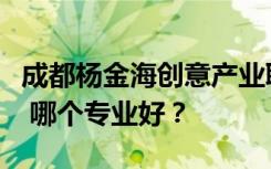 成都杨金海创意产业职业技术学校有哪些专业 哪个专业好？