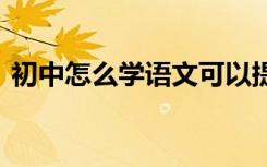 初中怎么学语文可以提高成绩 怎么学好语文