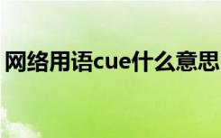 网络用语cue什么意思 cue你一下什么意思啊