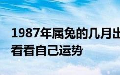 1987年属兔的几月出生最好 属兔的朋友快来看看自己运势