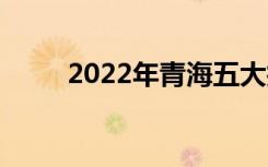 2022年青海五大技工学校有哪些？