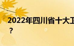 2022年四川省十大卫生学校最佳名单是什么？