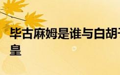 毕古麻姆是谁与白胡子、红发、凯多并列为四皇