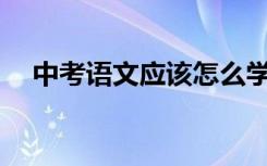 中考语文应该怎么学？有哪些学习方法？