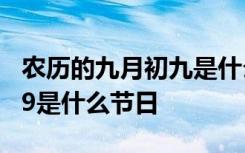 农历的九月初九是什么节日 每年的农历9月初9是什么节日