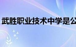 武胜职业技术中学是公立学校还是私立学校？