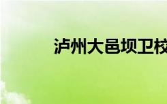 泸州大邑坝卫校宿舍环境如何？