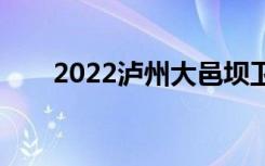 2022泸州大邑坝卫校一年学费多少？